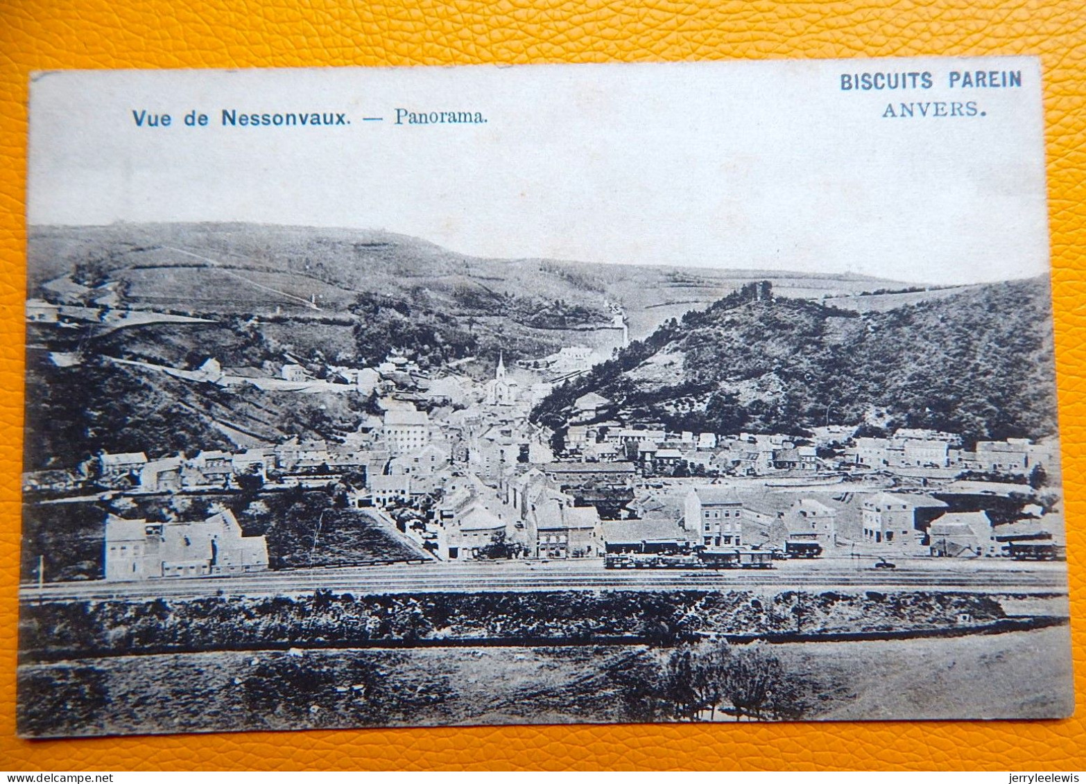 NESSONVAUX  - Panorama - Vue De Nessonvaux - Trooz