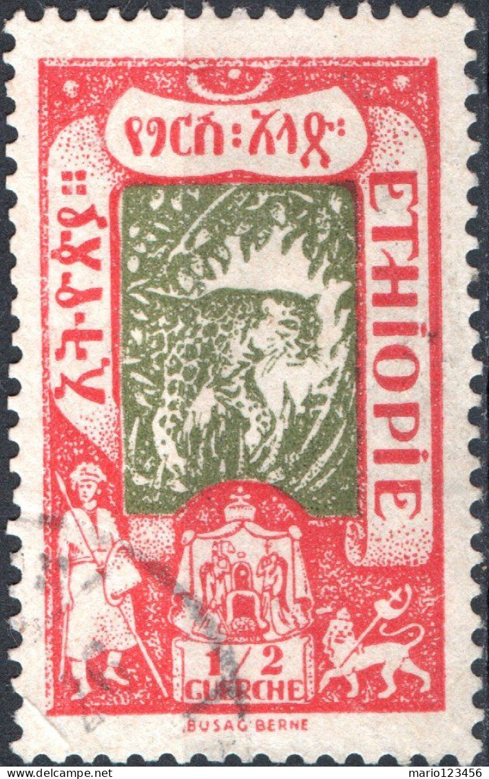 ETIOPIA, ETHIOPIA, ABISSINIA, FAUNA, MAMMIFERI, LEOPARDO, 1919, FRANC USATI Mi:ET 66, Scott:ET 122, Yt:ET 119 - Etiopia
