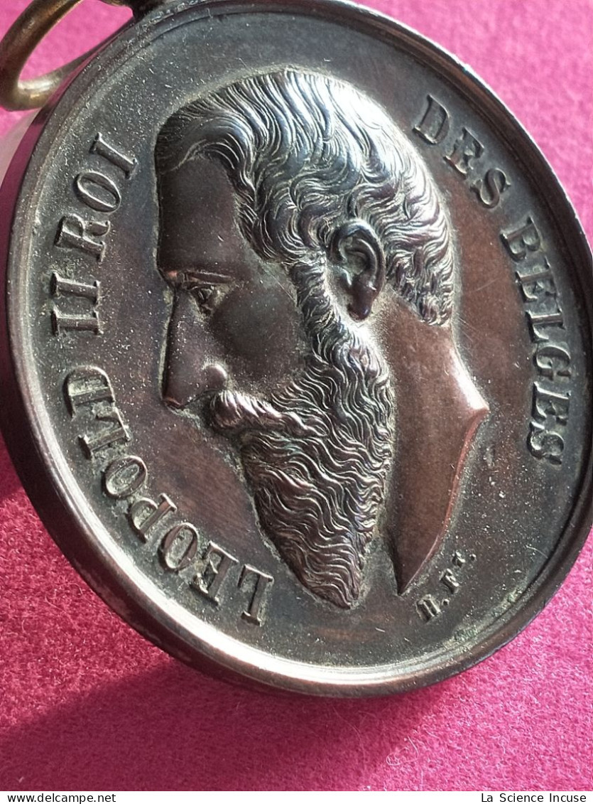 Belgique - Médaille Léopold II Exposition 1890 Société Horticole De Gembloux - Firma's