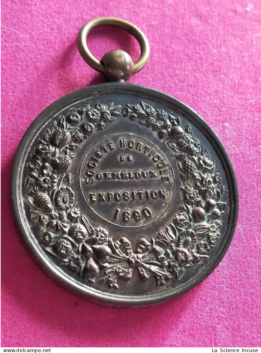 Belgique - Médaille Léopold II Exposition 1890 Société Horticole De Gembloux - Professionali / Di Società