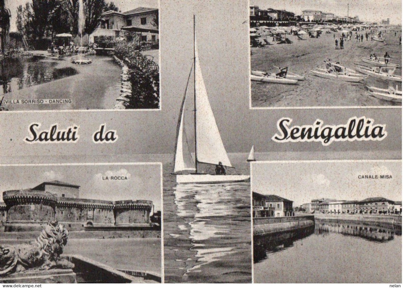 SALUTI DA SENIGALLIA - F.G. - Senigallia