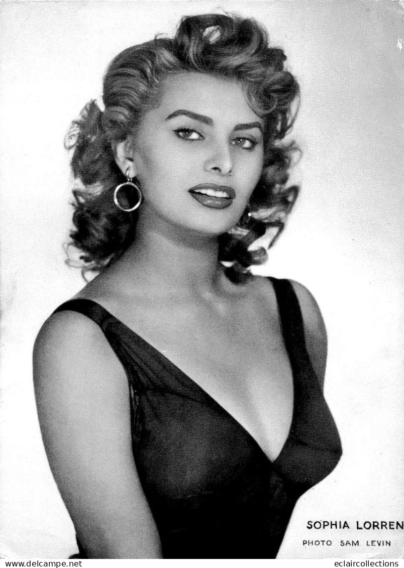 Thème Spectacle  Photo   Cinéma.   Sophia Loren     16.5 X 23          (voir Scan) - Europe