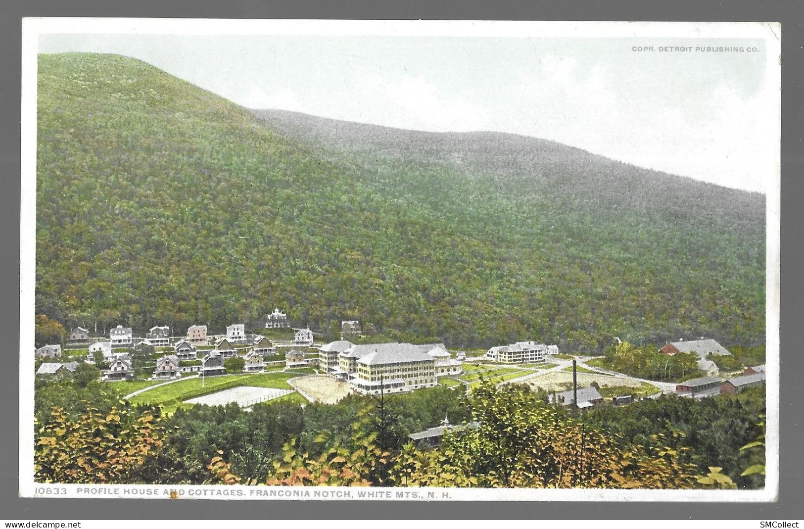 Profile House And Cottages, Franconia Notch, Withe Mountains, New Hampshire (A20p11) - White Mountains