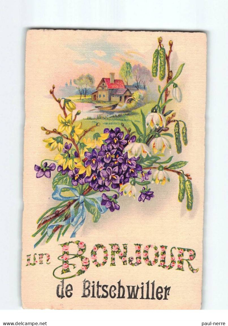 BISCHWILLER : Carte Souvenir - Très Bon état - Bischwiller