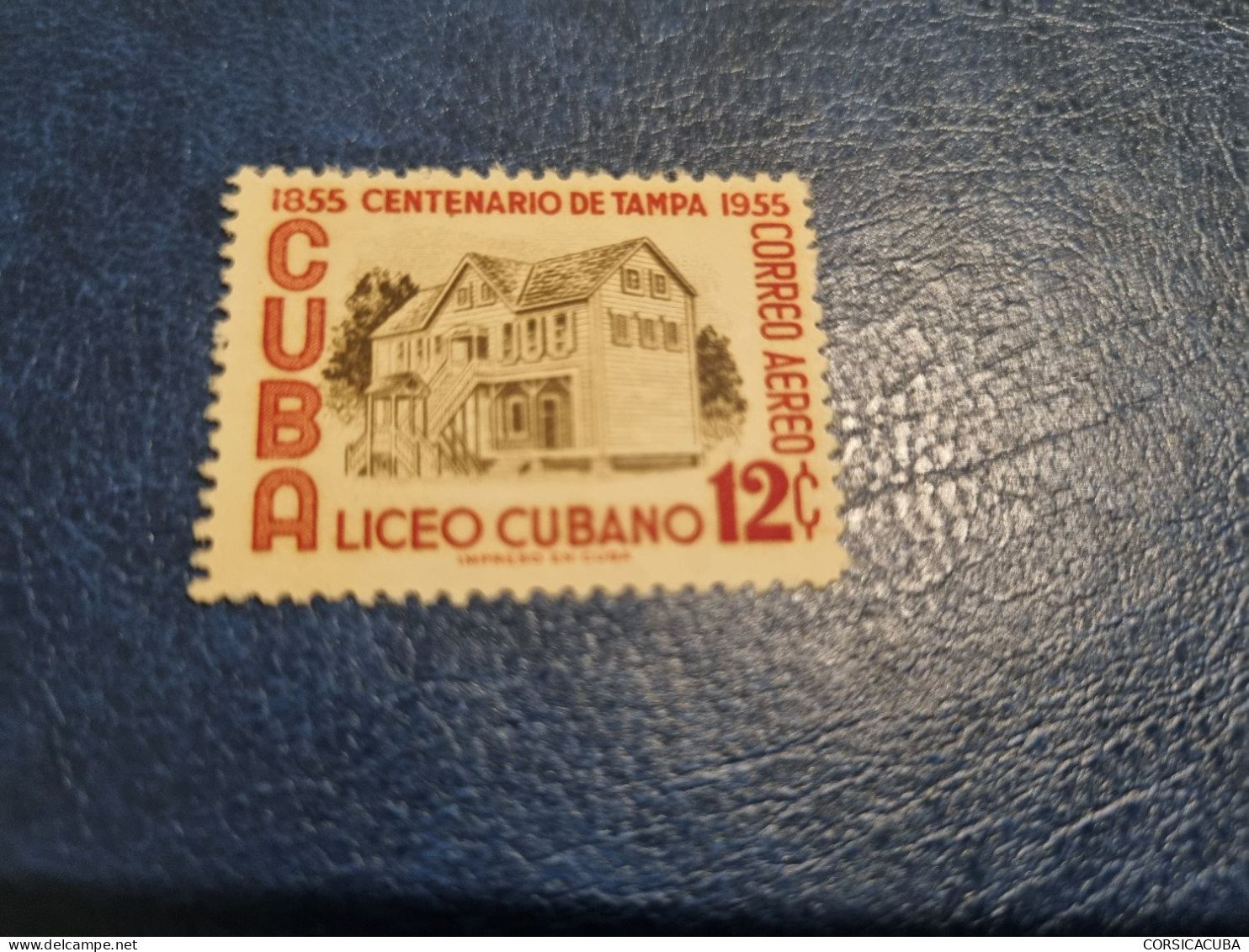 CUBA  NEUF  1955    CIUDAD  DE  TAMPA     //  PARFAIT  ETAT  //  1er  CHOIX  // - Nuovi