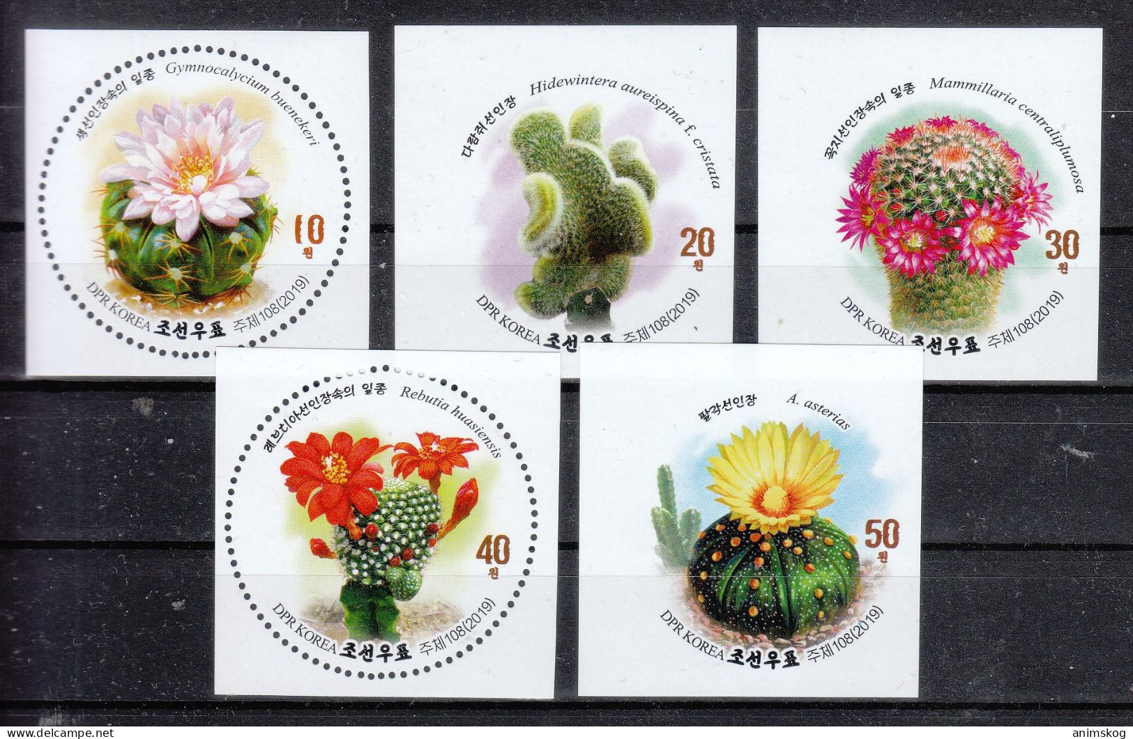 Nordkorea 2019**, Kakteen, Gezähnt / North Korea 2019, MNH, Cacti, Perforated - Sukkulenten