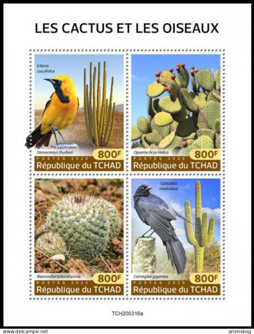 Tschad 2020**, Naturkunde: Vögel Und Kakteen / Chad 2020, MNH, Natural History: Birds And Cacti - Sukkulenten