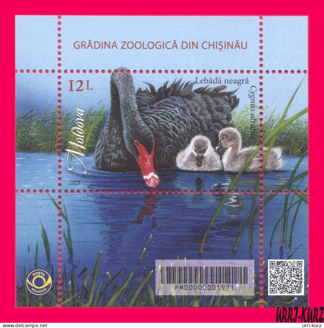 MOLDOVA 2023 Nature Fauna Animals Birds Bird Swans Swan Chisinau ZOO S-s MNH - Schwäne