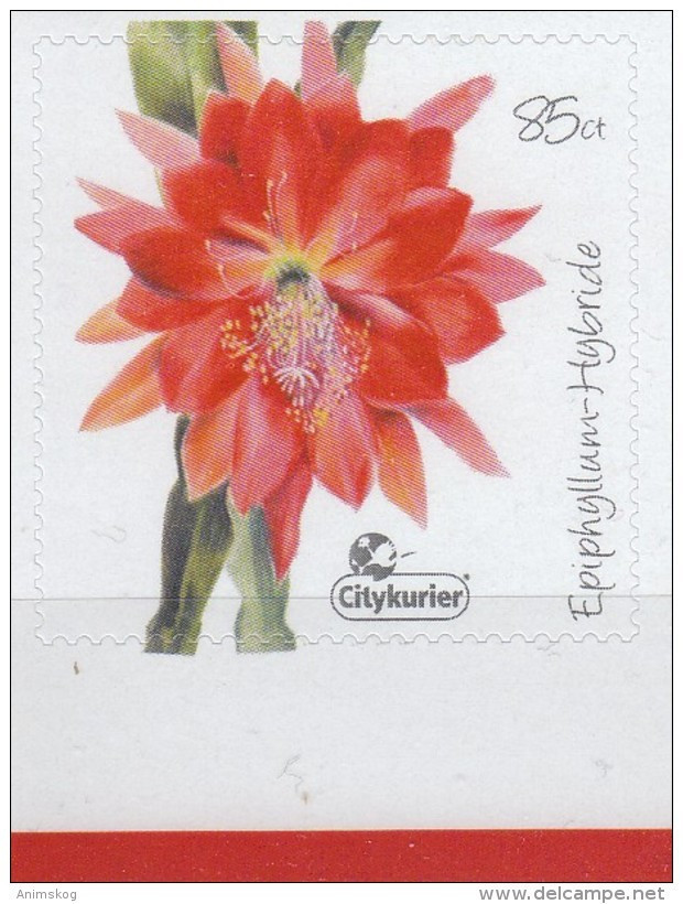 Deutschland 2016**, Privatpost Citykurier, Kaktus / Germany 2016, MNH, Private Mail Citykurier, Cactus - Sukkulenten