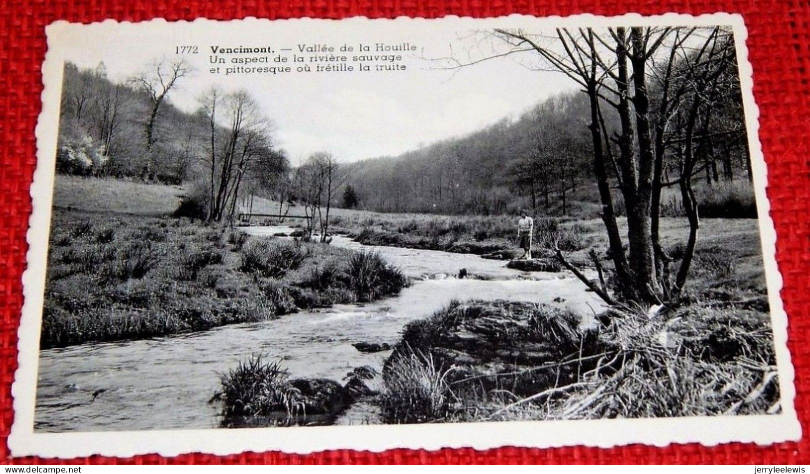 VENCIMONT  -  Vallée De La Houille - Un Aspect De La Rivière Sauvage - Gedinne