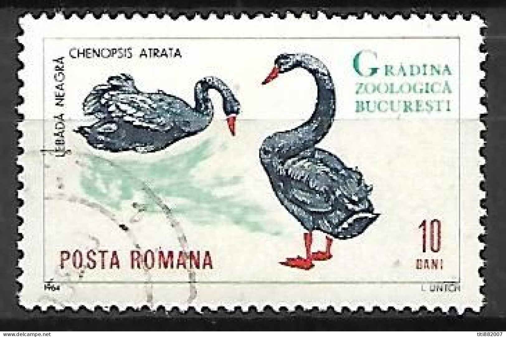 ROUMANIE      -     CYGNES  NOIRS      -      Oblitéré - Cisnes