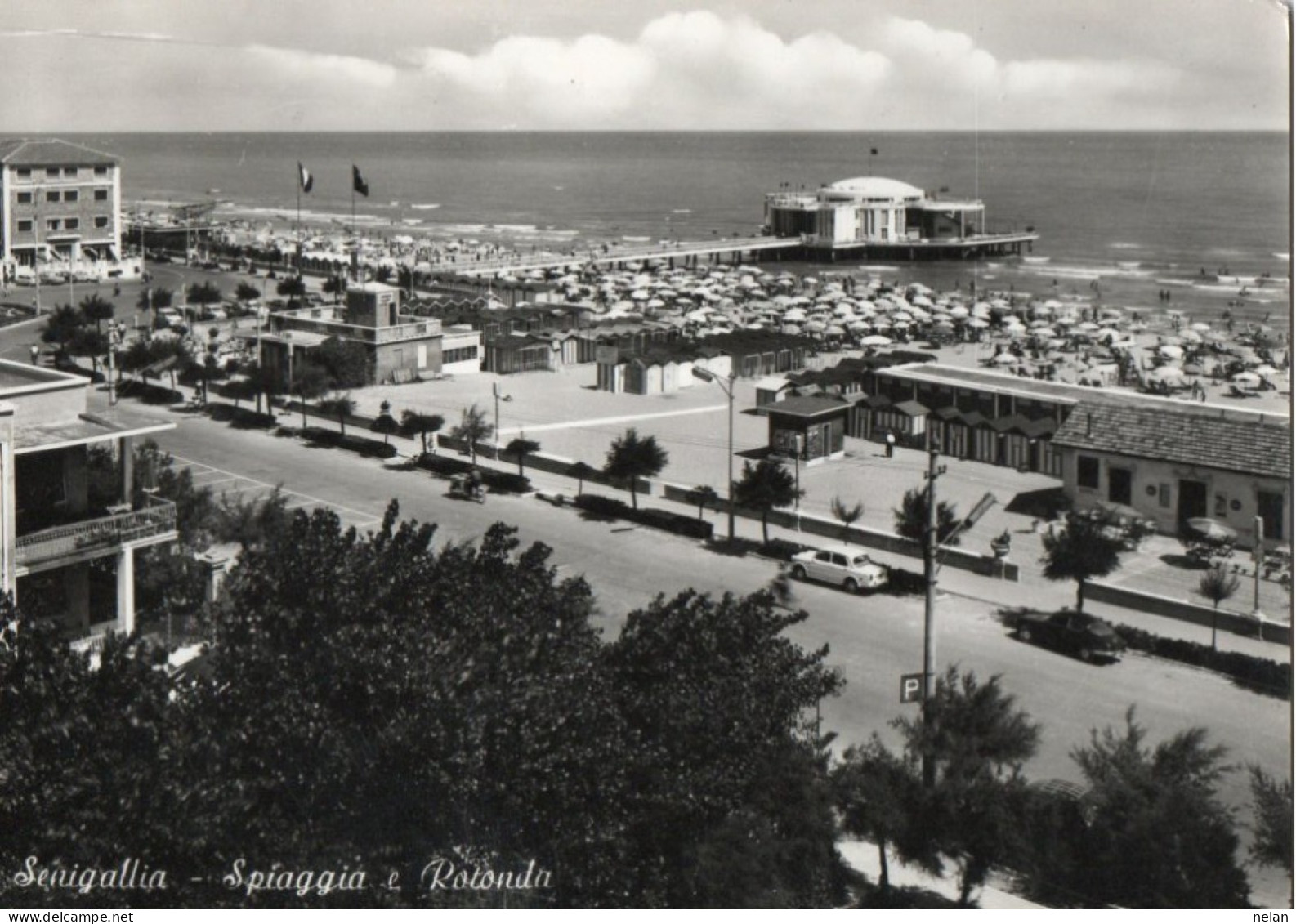 SENIGALLIA - SPIAGGIA E ROTONDA - F.G. - Senigallia