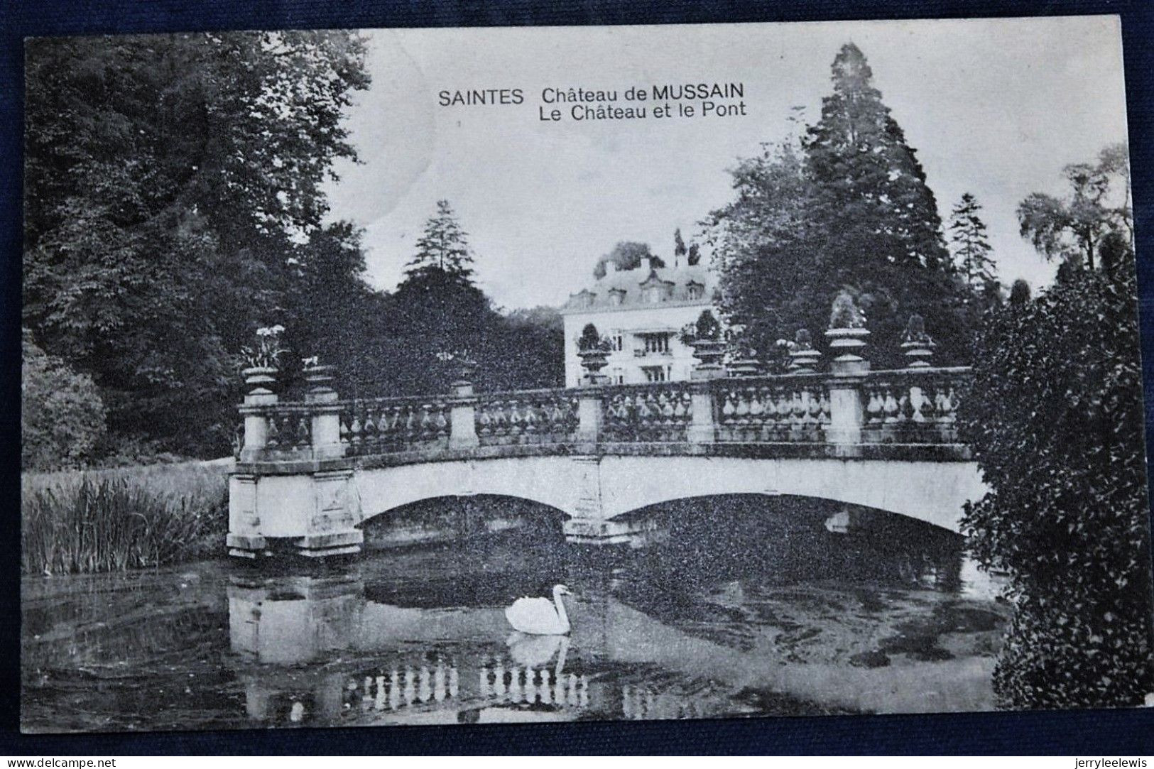 SAINTES  -  Château De Mussain  - Le Château Et Le Pont - Tubize