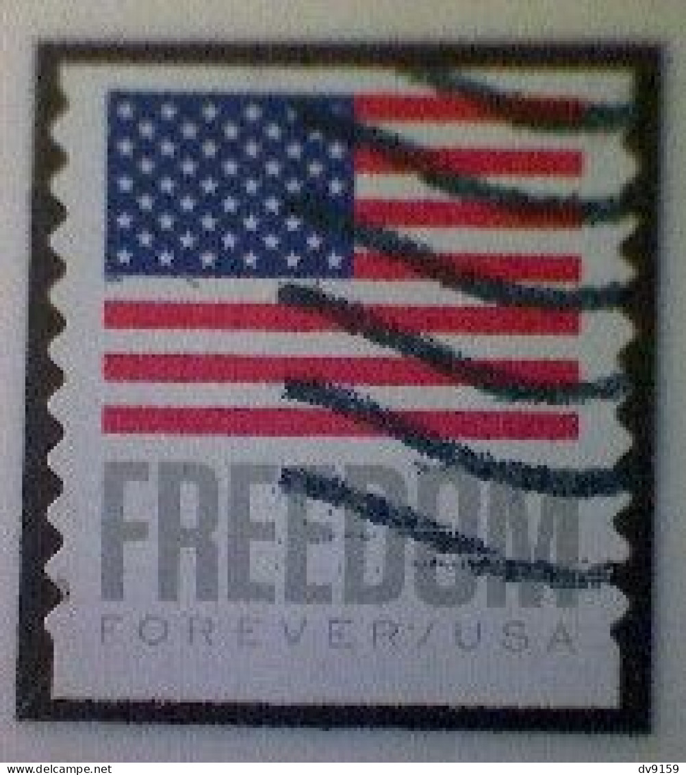 United States, Scott #5788, Used(o) Coil, 2023, Flag Definitive: Freedom Flag, (63¢) Forever - Usados