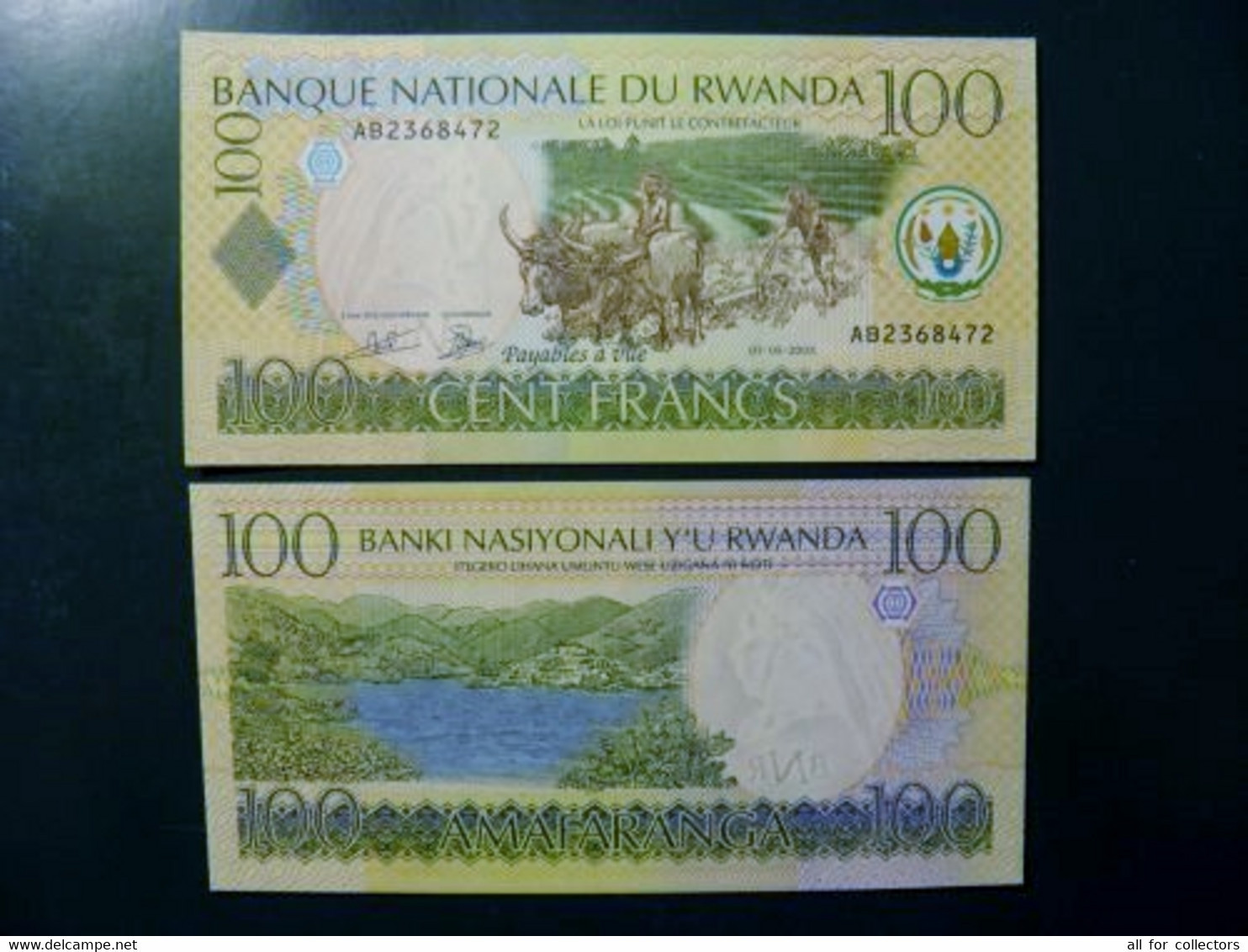 UNC Banknote Rwanda 2003 100 Francs Oxen And Farmer Plowing Mountains P-29a - Rwanda