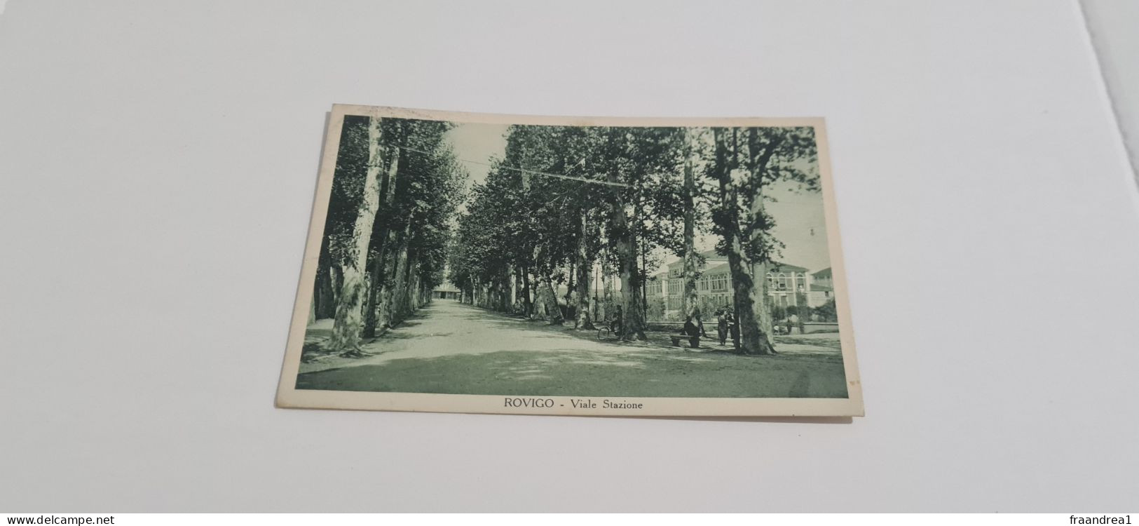 ROVIGO   VIALE DELLA STAZIONE   1936 - Rovigo