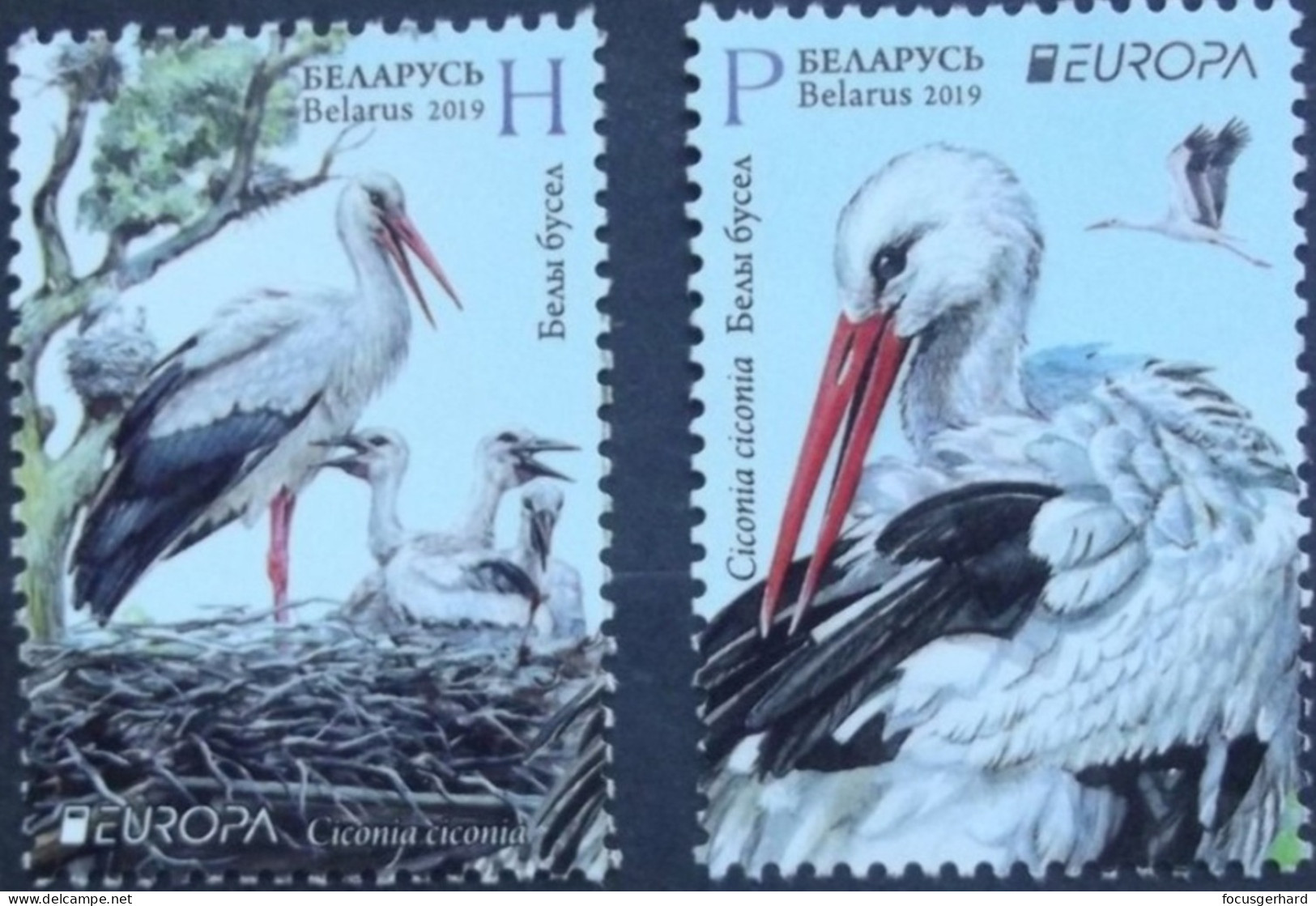 Weißrussland    Europa  Cept   Nationale Vögel   2019    ** - 2019