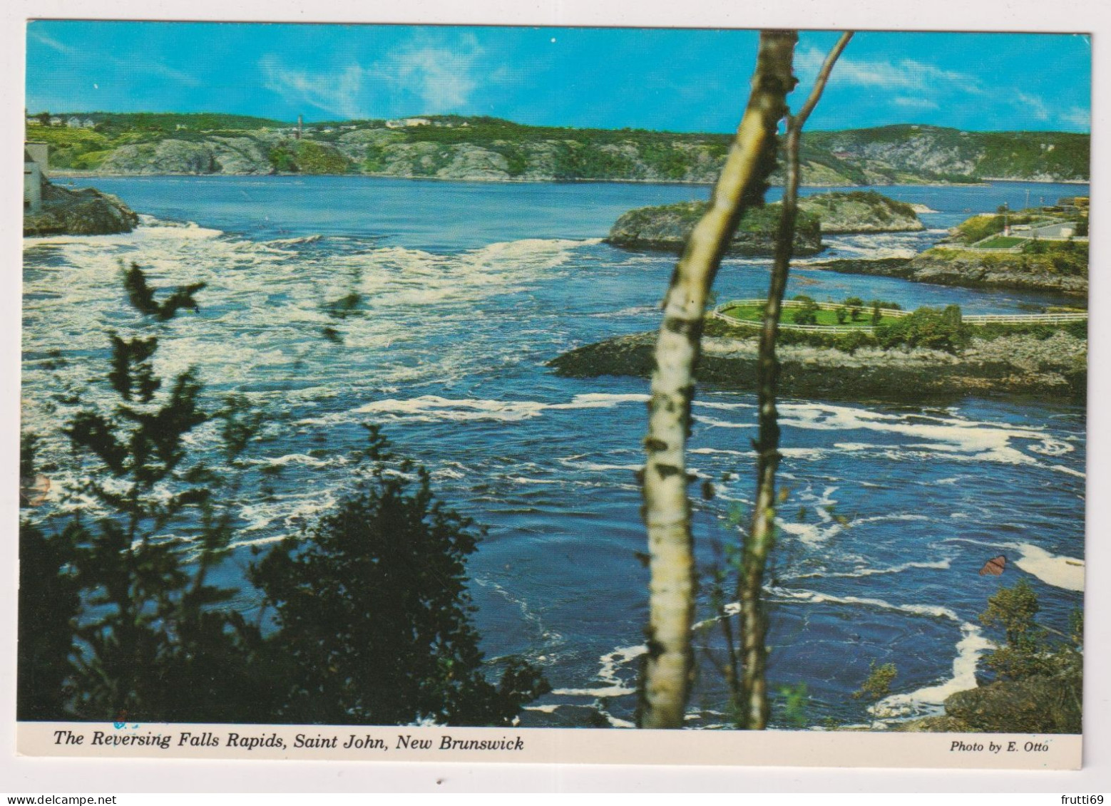 AK 199387 CANADA - New Brunswick - Saint John - The Reversing Falls Rapids - St. John