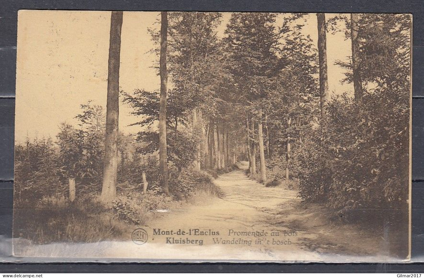 Postkaart Van Tournai 2F Naar Ypres Met Langstempel AMOUGIES - Langstempel