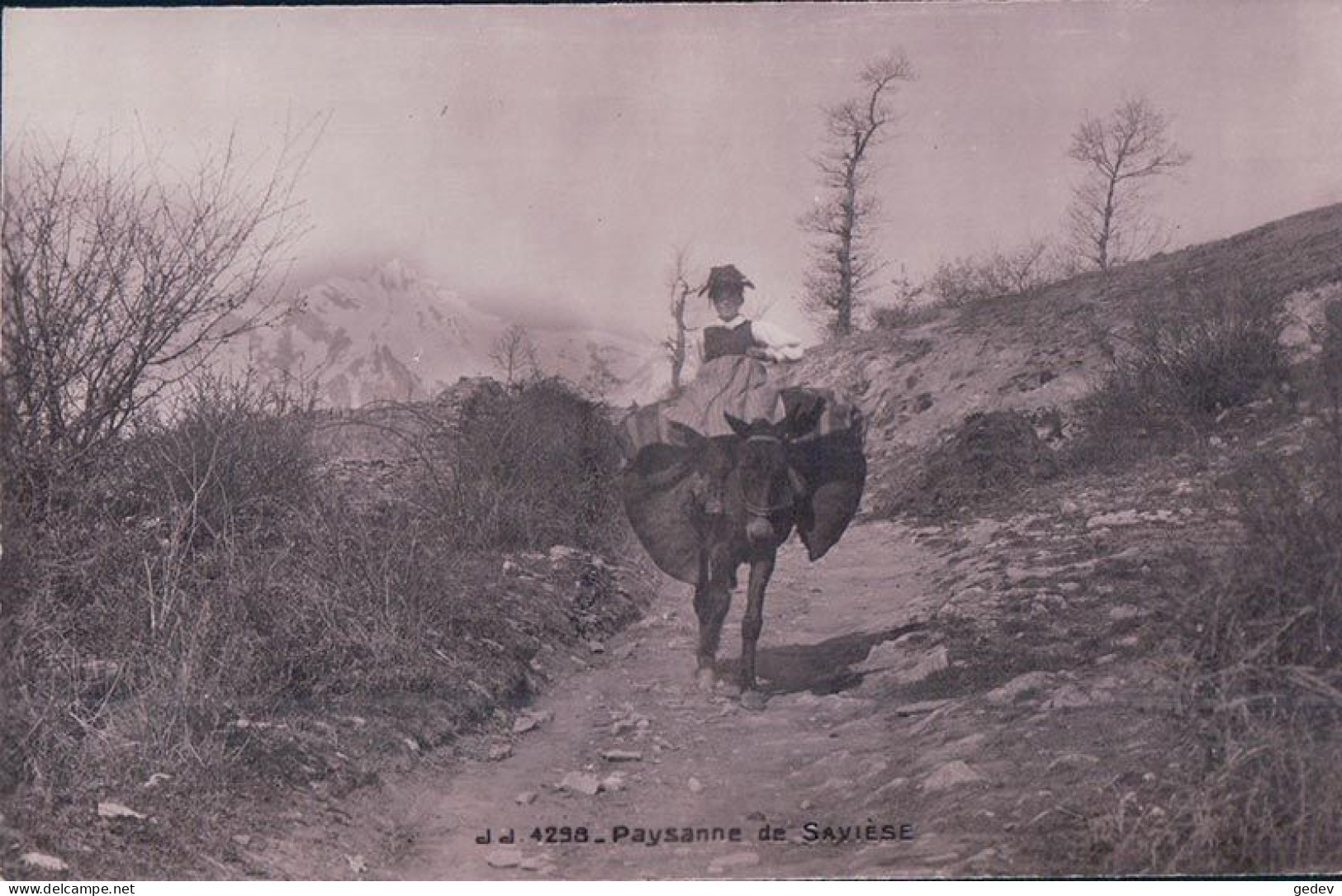 Savièse, Transport De Bois Et Paysanne à Dos Mulet (4298) - Savièse