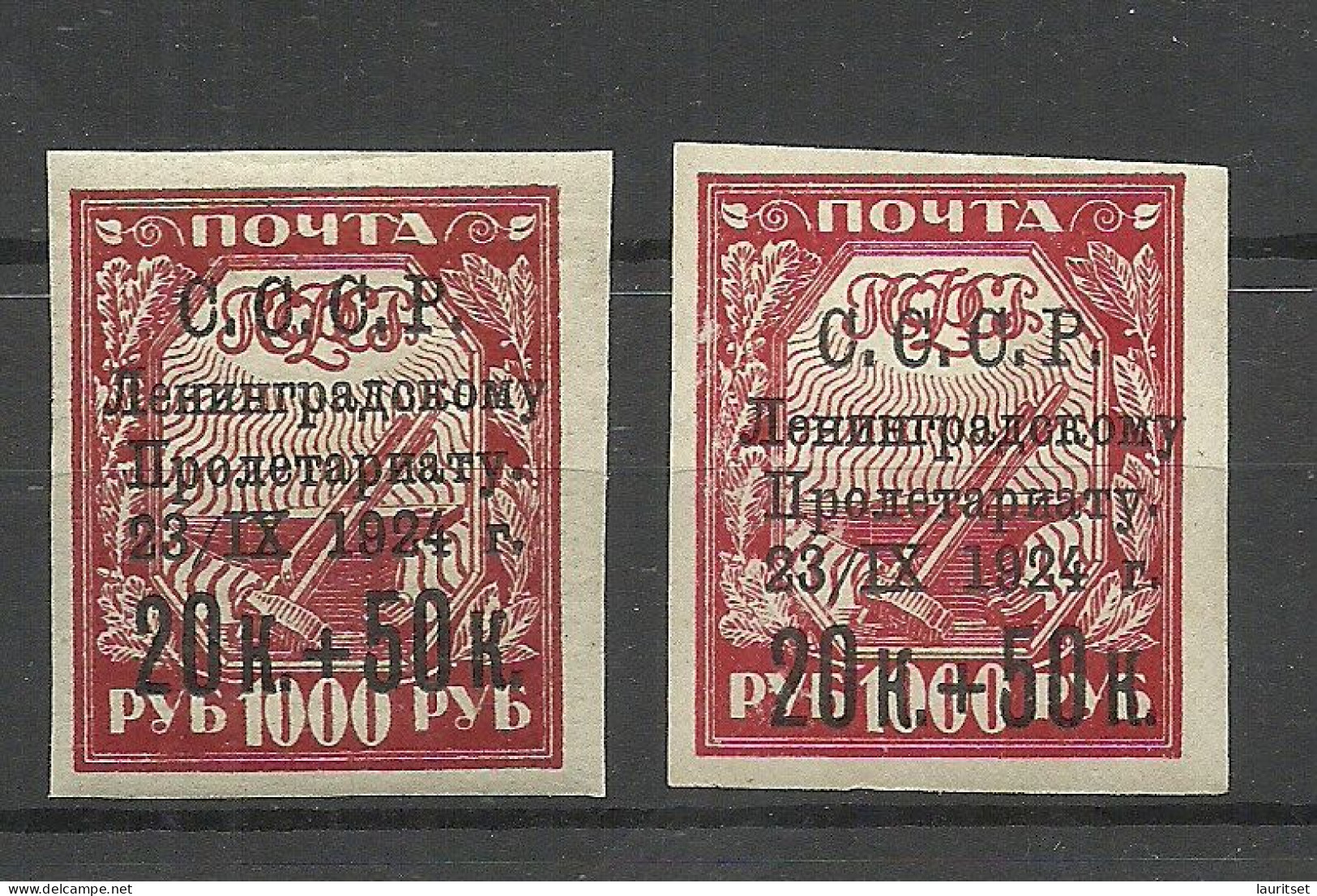 RUSSLAND RUSSIA 1924 Michel 266 * Different Paper Types - Neufs