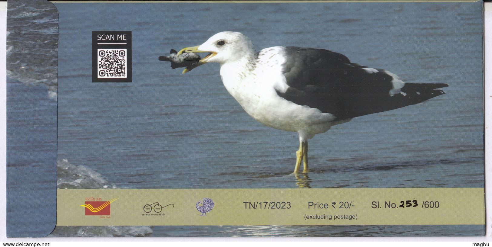 Heuglin's Gull @ Point Calimere, Migratory Birds @ Wildlife & Bird Sanctuary, Protected Wetland, Nature, Spl Cover 2024 - Meeuwen