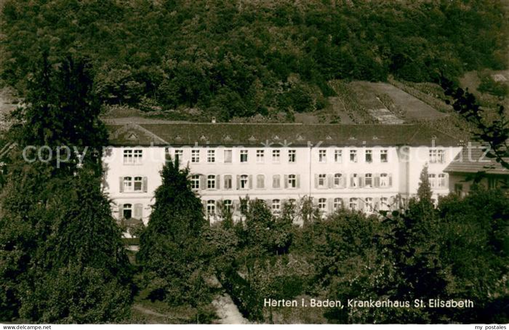 73734232 Herten Rheinfelden Krankenhaus St. Elisabeth Herten Rheinfelden - Rheinfelden