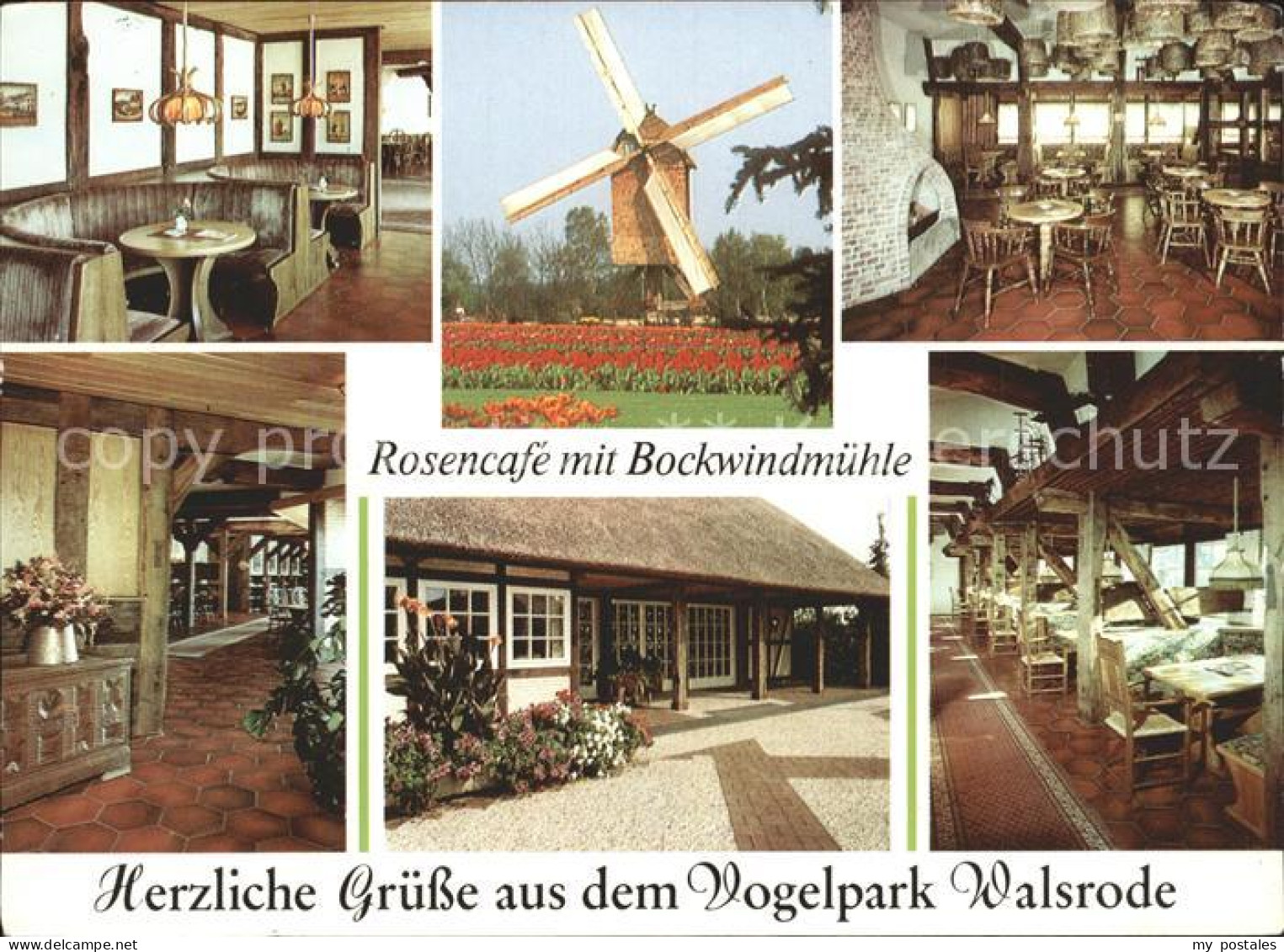 71950615 Walsrode Lueneburger Heide Vogelpark RoscenCafe Bochwindmuehle Altenboi - Walsrode