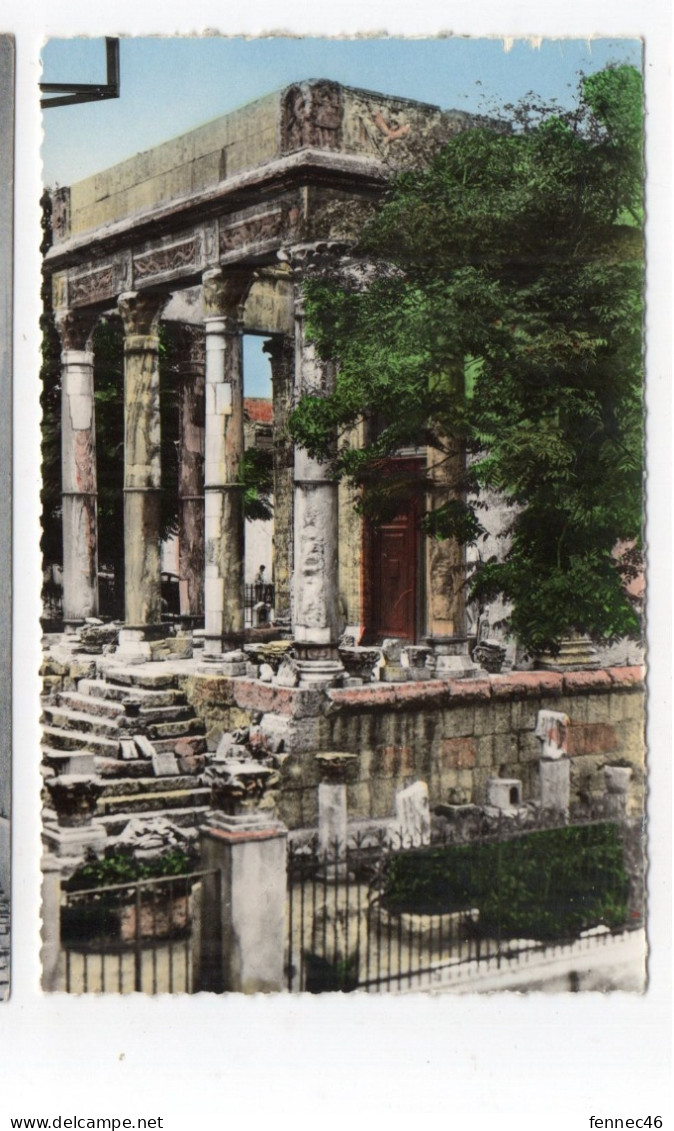 ALGÉRIE - TEBESSA - Temple De Minerve - 1960 (H41) - Tébessa