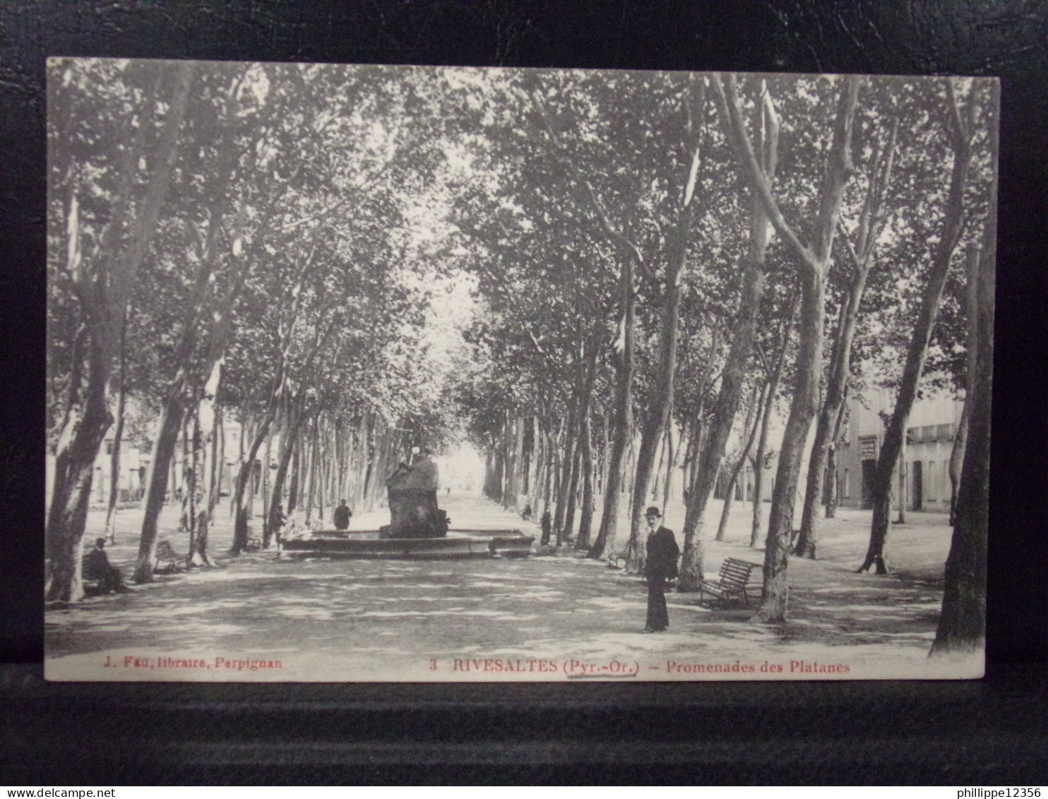 6681 . RIVESALTES . PROMENADES DES PLATANES . 1915 .  - Rivesaltes