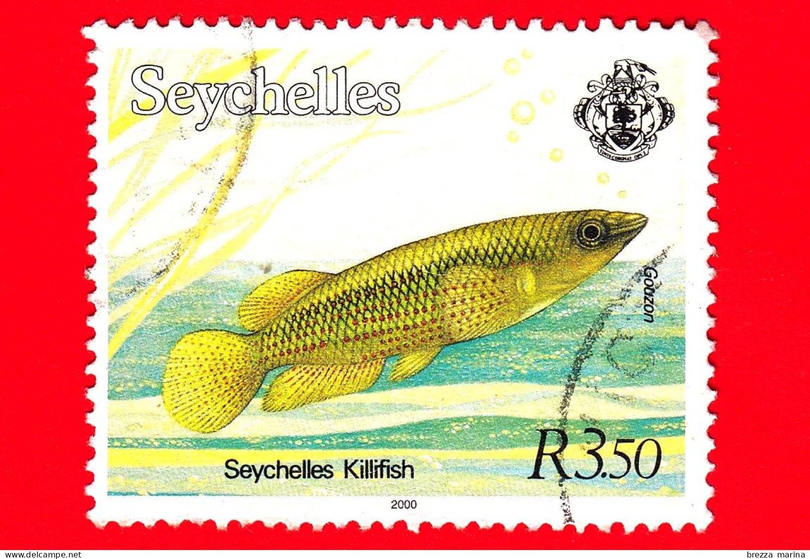 SEYCHELLES - Usato - 1993 - Vita Marina - Pesce - Golden Panchax - Seychelles Killifish - 3.50 - Seychelles (1976-...)