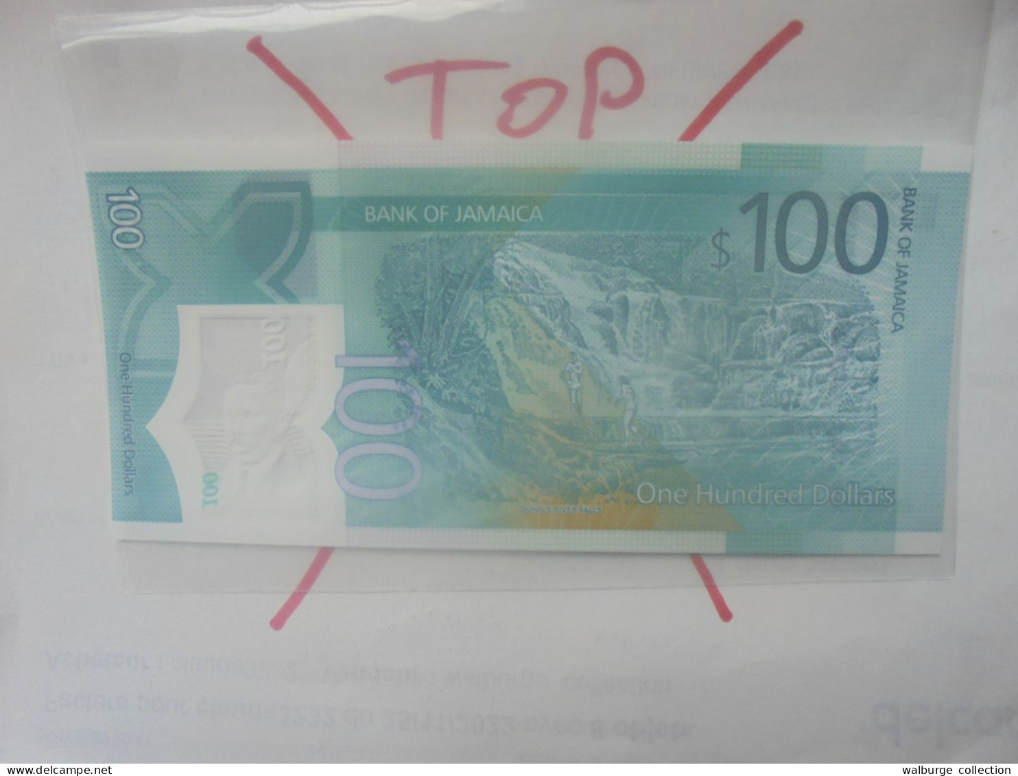 JAMAIQUE 100$ 2022 Neuf (B.32) - Jamaica