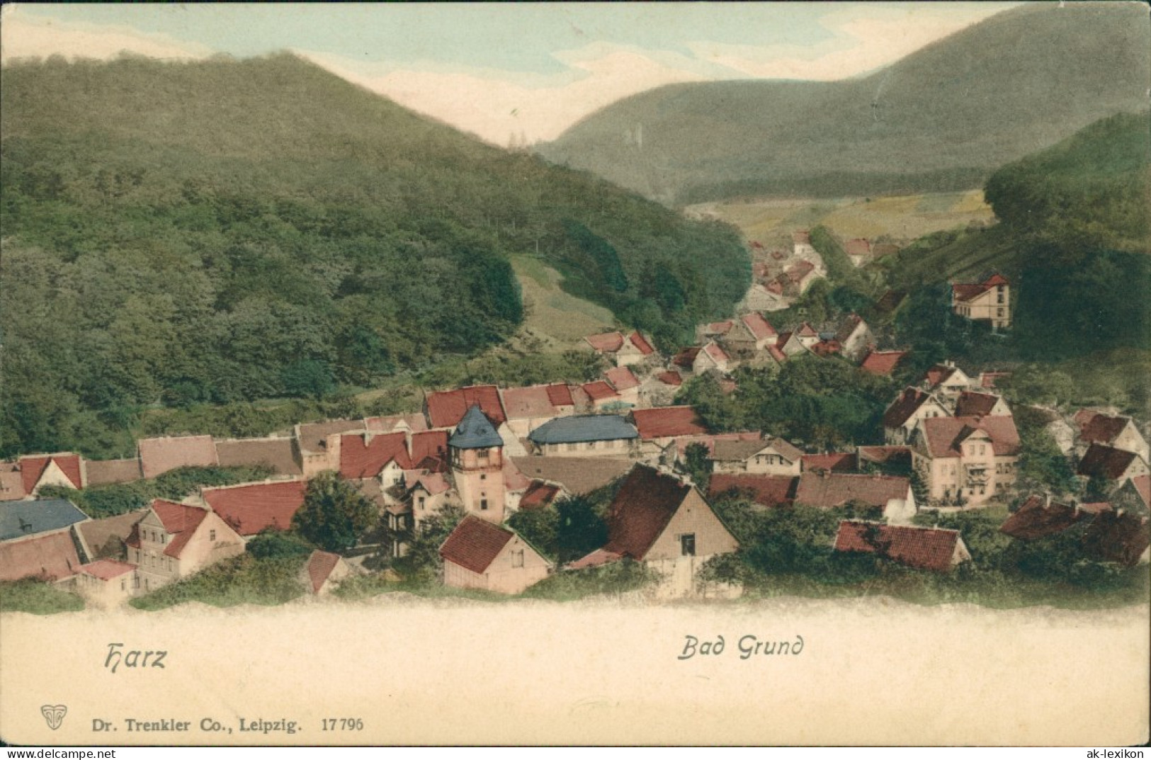 Ansichtskarte Bad Grund (Harz) Blick Auf Den Ort 1908 - Bad Grund