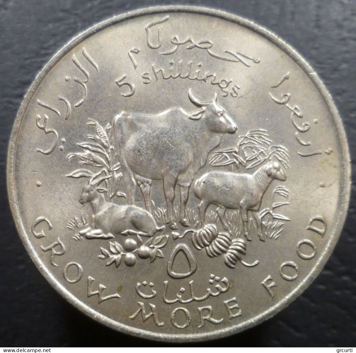 Somalia - 5 Shillings 1970 - F. A. O. - KM# 15 - Somalia
