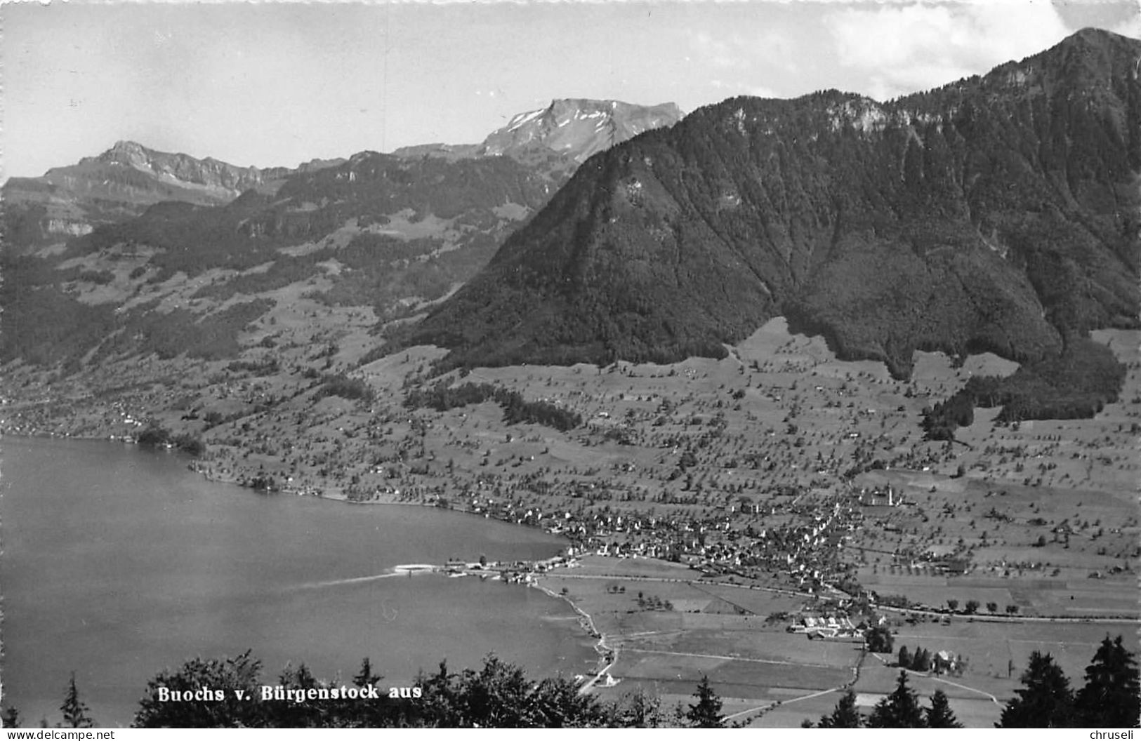 Buochs Fliegeraufnahme - Buochs