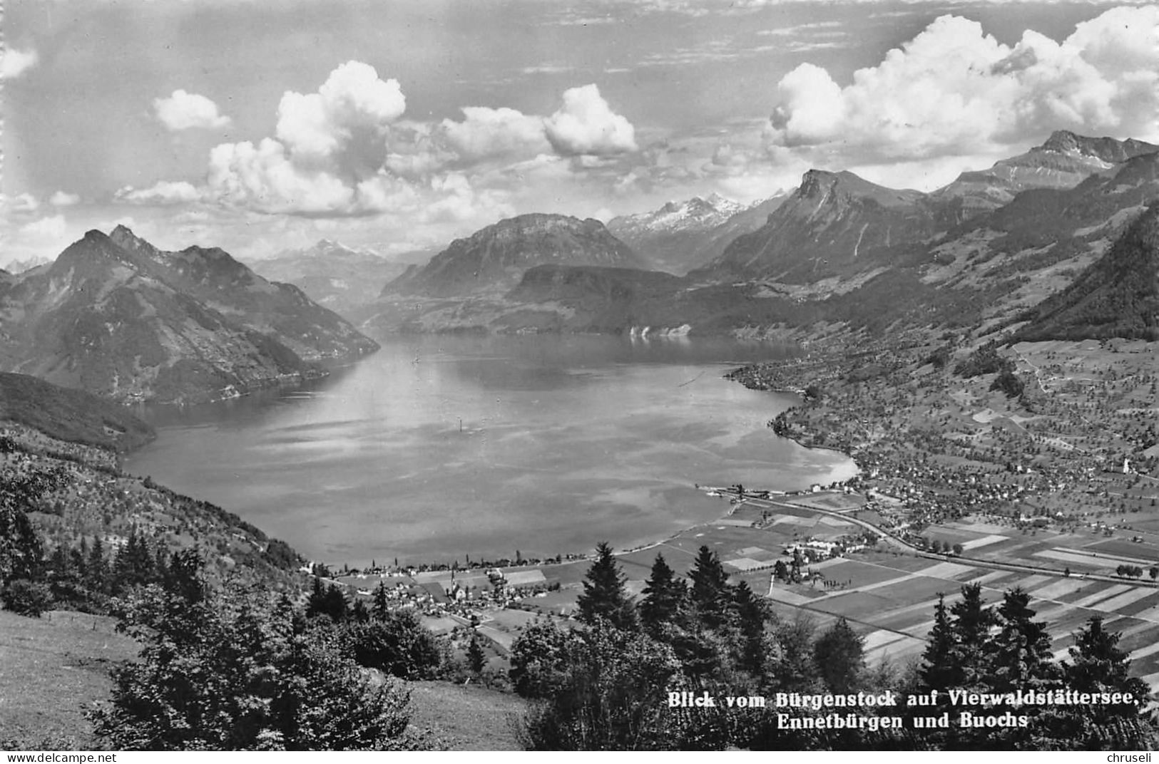 Ennetbürgen - Buochs Fliegeraufnahme - Ennetbürgen