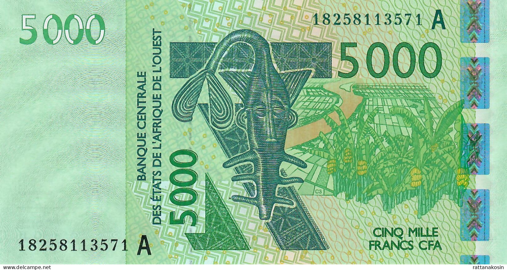 W.A.S.  IVORY COAST  P117Ar 5000  FRANCS (20)18  2018  Signature 43  UNC. - West African States