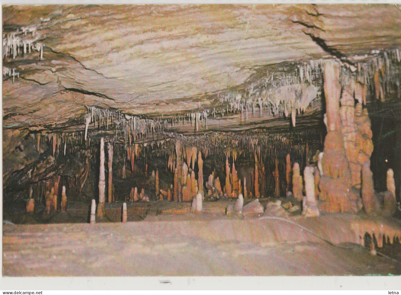 Australia VICTORIA VIC Font Of Gods & Niagara Falls In Royal Cave BUCHAN CAVES Nucolorvue BC47 Postcard C1960s - Gippsland