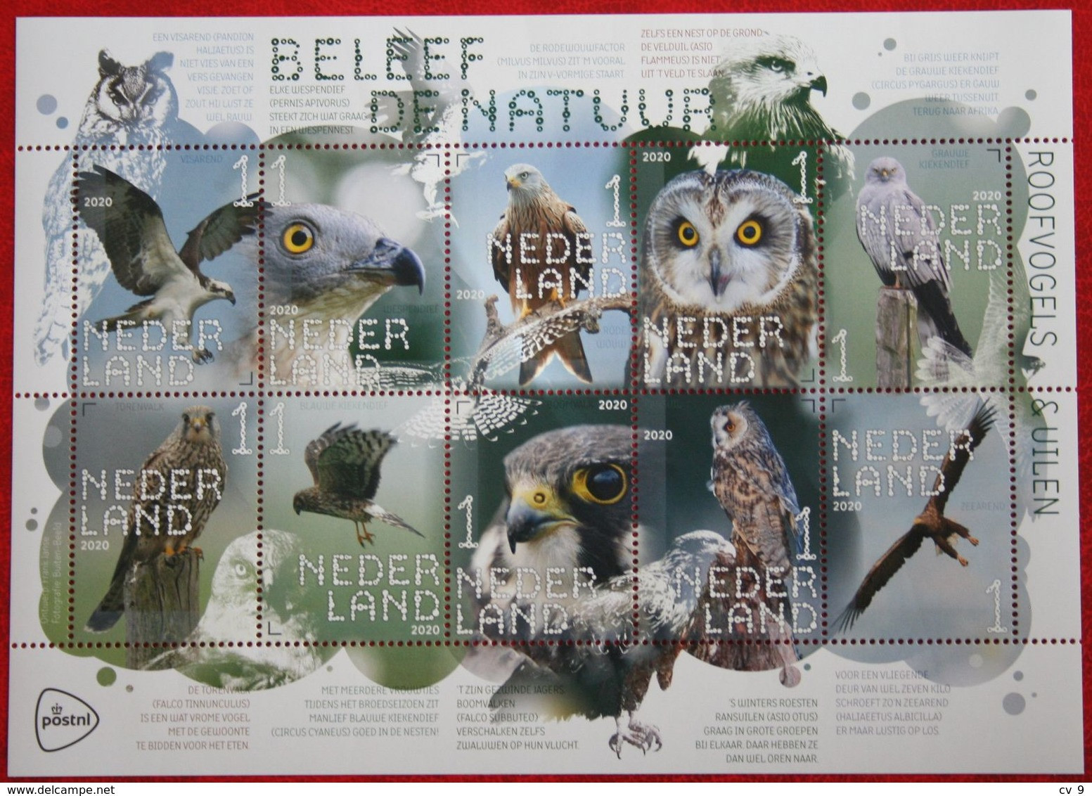 Uil Owl Búho Hibou Eule Vogel Bird Of Prey Oiseaux 2020 POSTFRIS / MNH ** NEDERLAND  NETHERLANDS - Ongebruikt