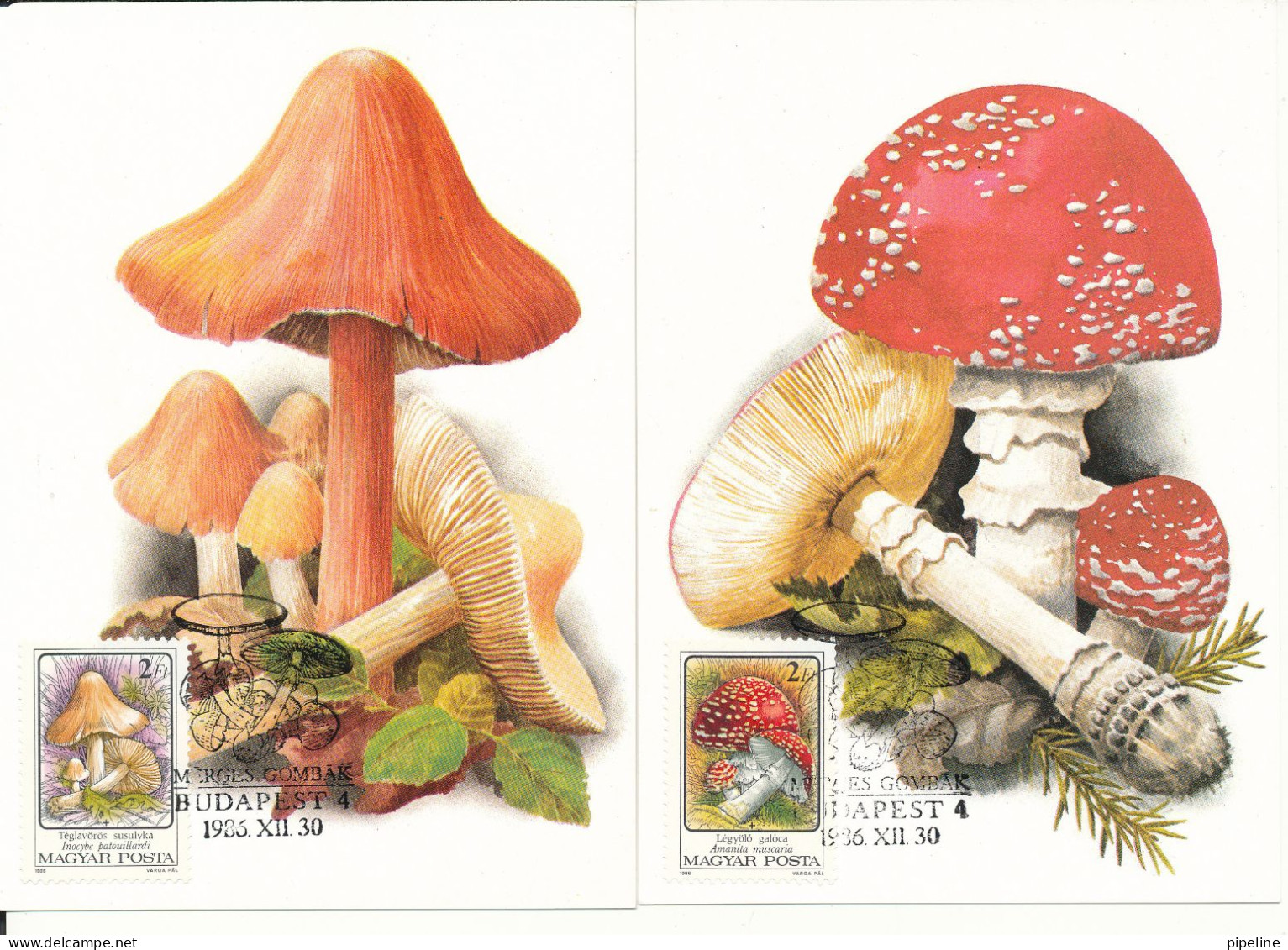 Hungary Mushrooms Maximum Card Budapest 30-12-1986 Complete Set Of 6 Very Nice Cards - Maximumkarten (MC)