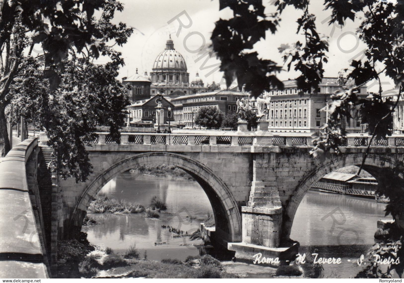 CARTOLINA  B3  ROMA,LAZIO-IL TEVERE-S.PIETRO-MEMORIA,CULTURA,RELIGIONE,IMPERO ROMANO,BELLA ITALIA,VIAGGIATA 1965 - Fiume Tevere