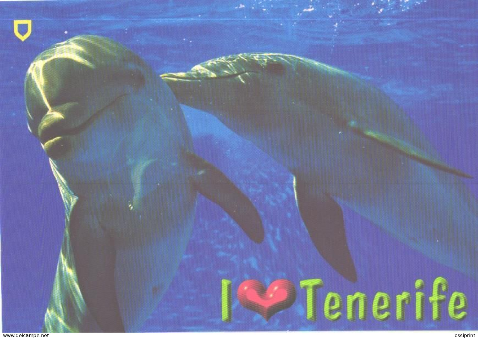Tenerife Island Dolphins - Dauphins