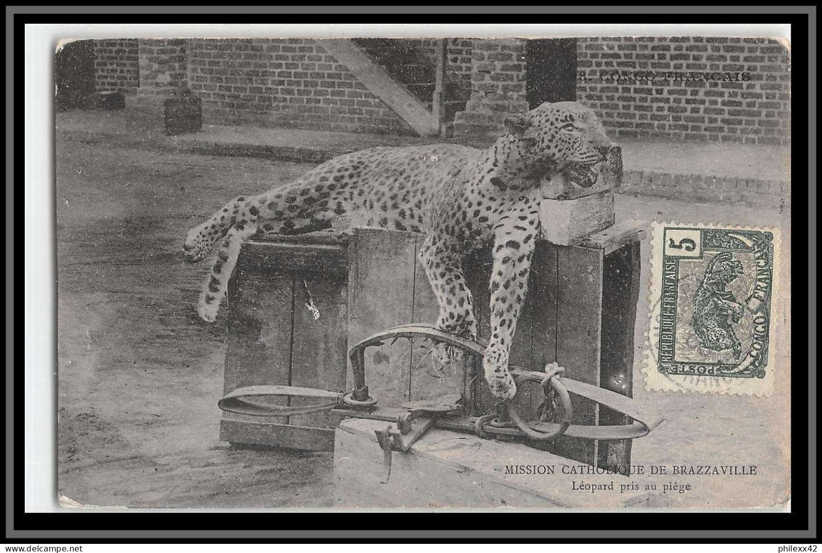49178 N°30 Panthère Leopard 1906 Congo Francais Carte Maximum (card) Pour Beire-le-Chatel Cote D'or - Brieven En Documenten