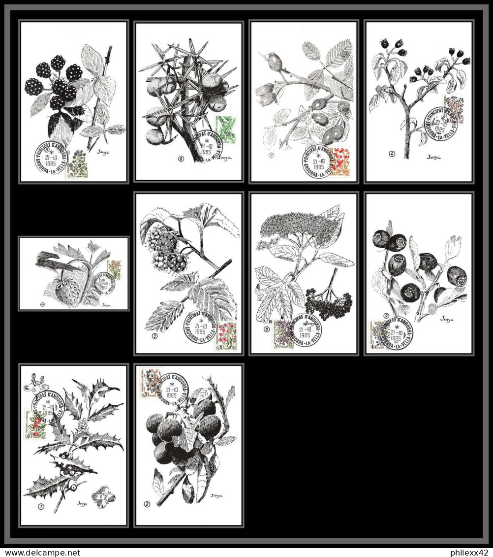 57082 TAXE N°53/61 Flore Baie Sauvage Flowers Flower Fleurs) édition Pujol - Maximumkarten (MC)