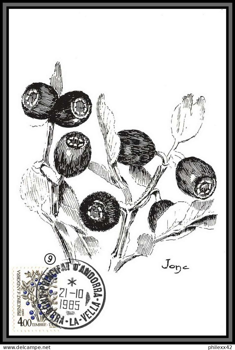 57082 TAXE N°53/61 Flore baie sauvage flowers flower fleurs) édition pujol