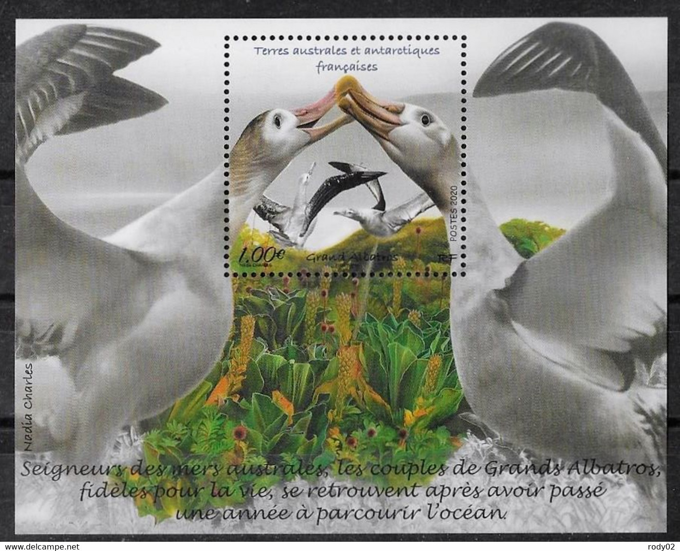 TAAF - ANNEE 2020 - OISEAUX - GRAND ALBATROS - F 924 - NEUF** MNH - Neufs