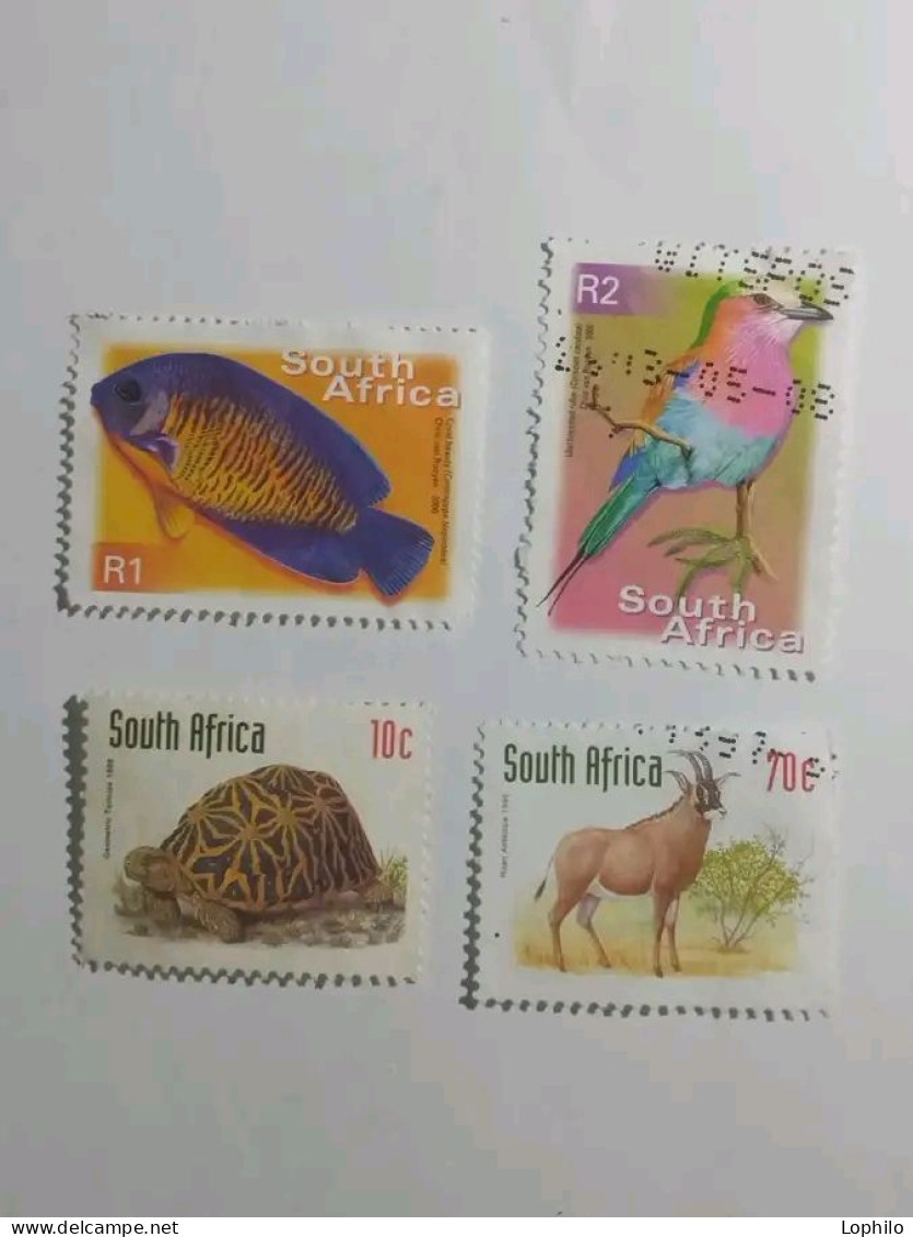 Timbres  Afrique Du Sud  Obliteres. - Gebruikt