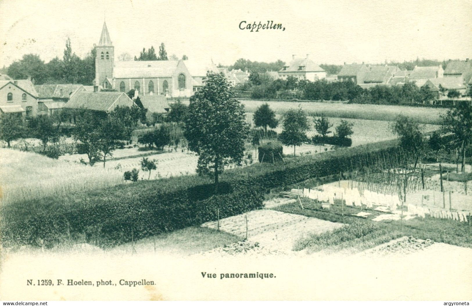 Cappellen - Vue Panoramique - Van Op De Molen - Hoelen 1259 - 1906 - Kapellen