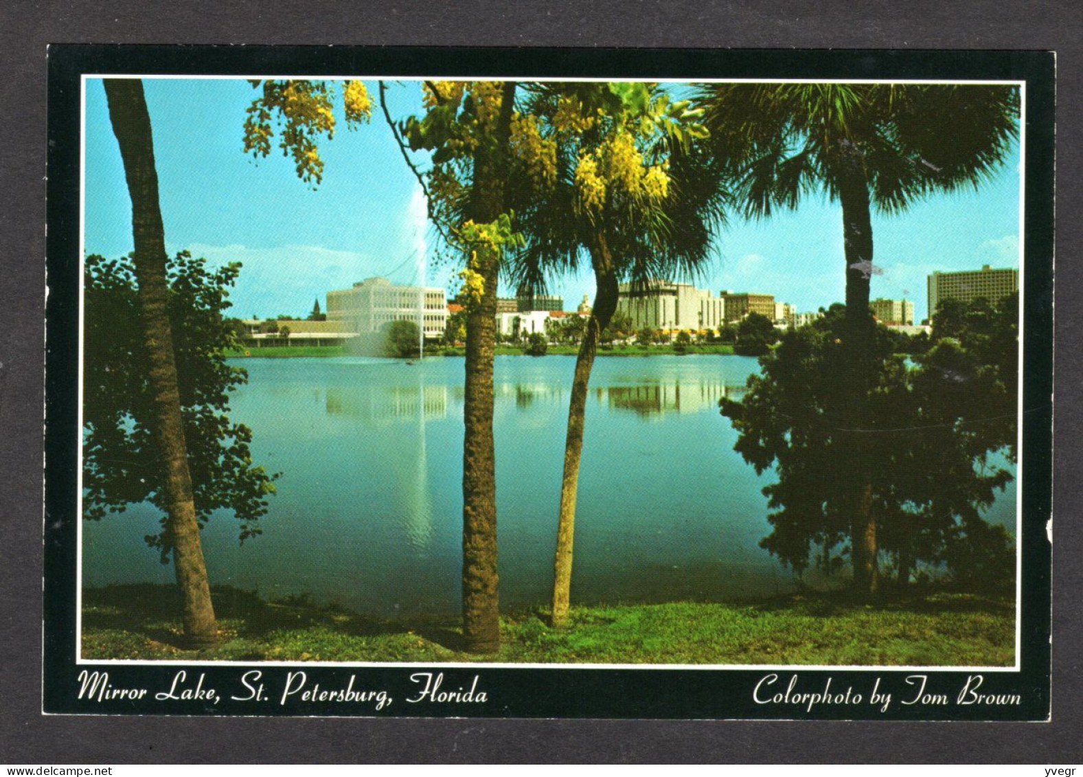 Etats Unis - St.PETERSBURG - Skyline Reflected From Mirror Lake In Downtown , Jet D'eau - St Petersburg