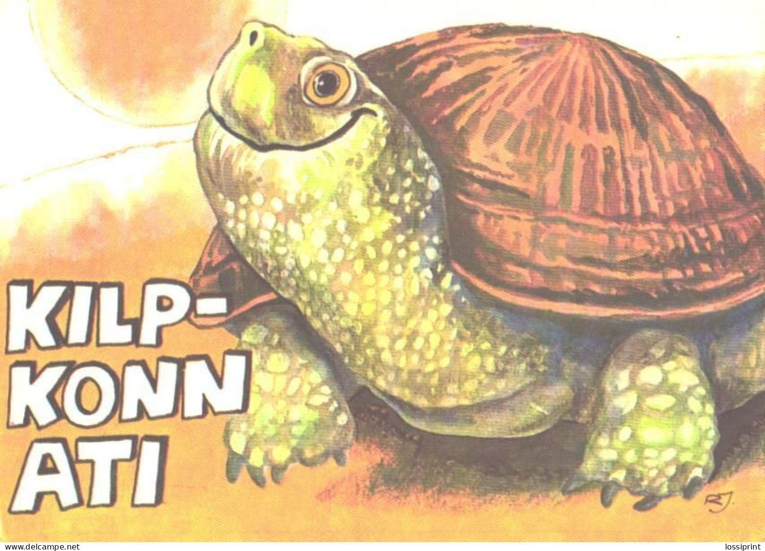 R.Järvi:Turtle Ati, 1981 - Tortues